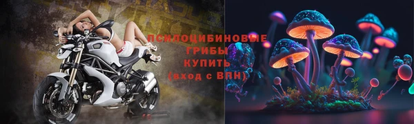 твердый Мегион