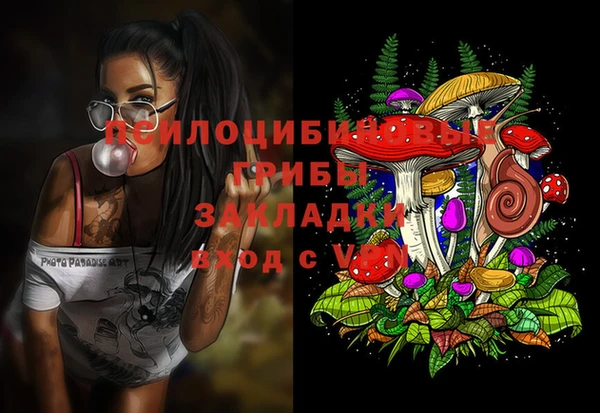 метадон Медногорск