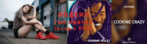 прущие грибы Карабаново