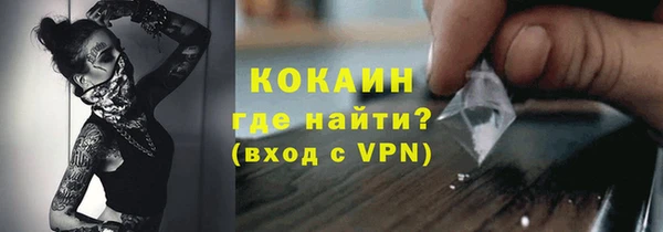 твердый Мегион