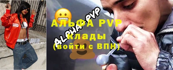 твердый Мегион