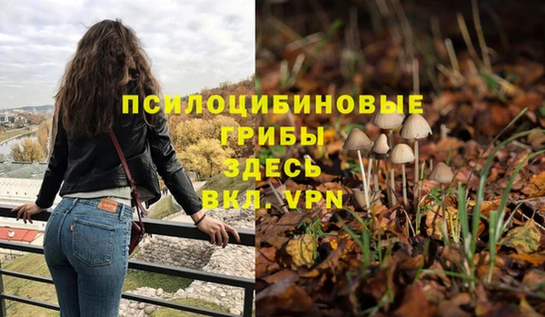 метадон Медногорск