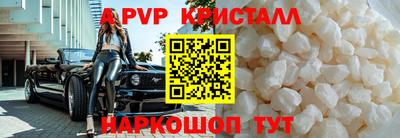 амф Кингисепп