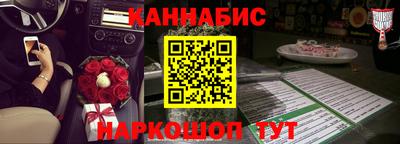амф Кингисепп