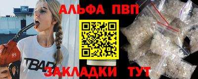 амф Кингисепп
