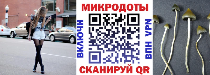 omg как войти  Лысьва  Псилоцибиновые грибы Psilocybe  наркотики 