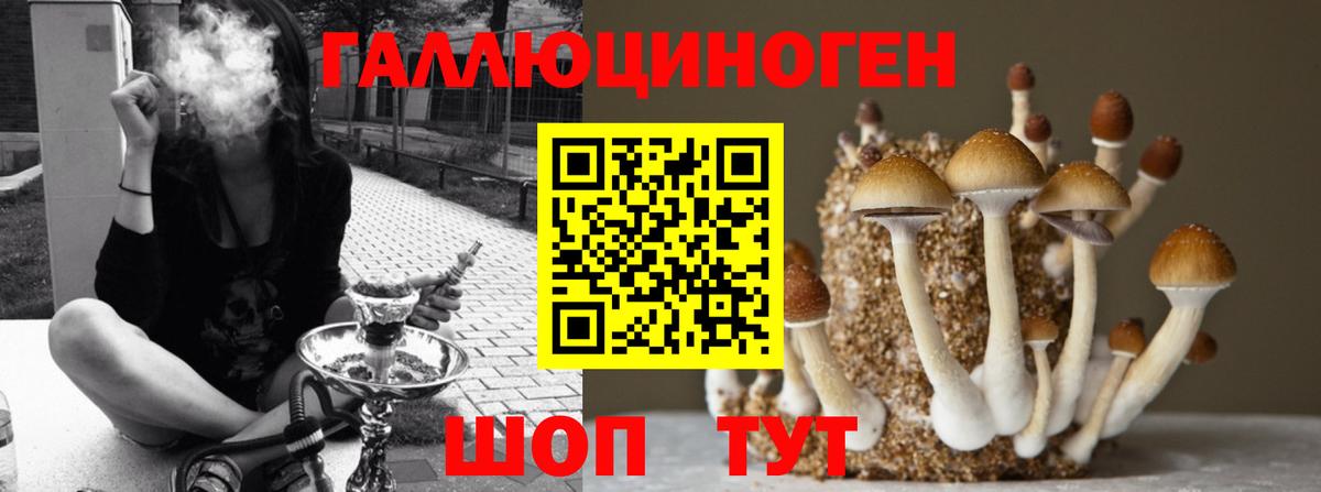 Галлюциногенные грибы прущие грибы  Вход с VPN  Лысьва 
