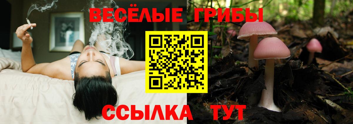 Галлюциногенные грибы мицелий Лысьва